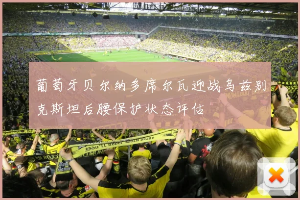 葡萄牙贝尔纳多席尔瓦迎战乌兹别克斯坦后腰保护状态评估
