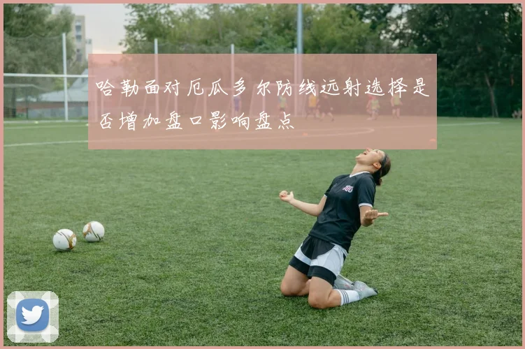 哈勒面对厄瓜多尔防线远射选择是否增加盘口影响盘点